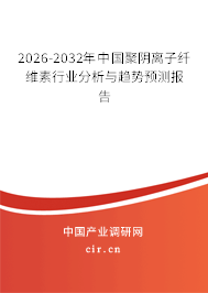 2026-2032年中國聚陰離子纖維素行業(yè)分析與趨勢預(yù)測報(bào)告