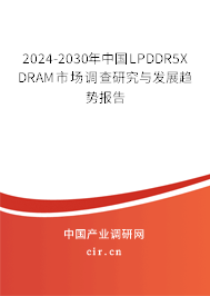 2024-2030年中國LPDDR5X DRAM市場調(diào)查研究與發(fā)展趨勢報告