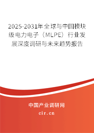 2025-2031年全球與中國(guó)模塊級(jí)電力電子（MLPE）行業(yè)發(fā)展深度調(diào)研與未來(lái)趨勢(shì)報(bào)告