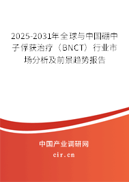 2025-2031年全球與中國(guó)硼中子俘獲治療（BNCT）行業(yè)市場(chǎng)分析及前景趨勢(shì)報(bào)告