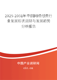2025-2031年中國網(wǎng)絡(luò)付費(fèi)行業(yè)發(fā)展現(xiàn)狀調(diào)研與發(fā)展趨勢分析報告