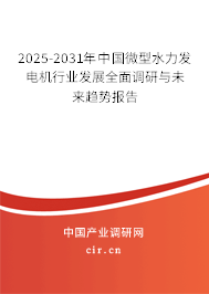 2025-2031年中國微型水力發(fā)電機行業(yè)發(fā)展全面調研與未來趨勢報告 2025-2031年中國微型水力發(fā)電機行業(yè)發(fā)展全面調研與未來趨勢報告
