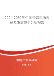 2023-2029年中國(guó)帥普市場(chǎng)調(diào)研及發(fā)展趨勢(shì)分析報(bào)告