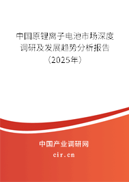 中國原鋰離子電池市場深度調(diào)研及發(fā)展趨勢分析報告(2025年) 中國原鋰離子電池市場深度調(diào)研及發(fā)展趨勢分析報告(2025年)