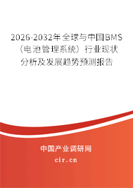 2026-2032年全球與中國(guó)BMS（電池管理系統(tǒng)）行業(yè)現(xiàn)狀分析及發(fā)展趨勢(shì)預(yù)測(cè)報(bào)告
