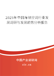 2025年中國車輛空調(diào)行業(yè)發(fā)展調(diào)研與發(fā)展趨勢分析報告 2025年中國車輛空調(diào)行業(yè)發(fā)展調(diào)研與發(fā)展趨勢分析報告