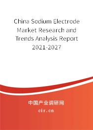 China Sodium Electrode Market Research and Trends Analysis Report 2021-2027