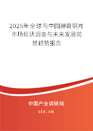 2025年全球與中國彈簧鋼片市場現(xiàn)狀調(diào)查與未來發(fā)展前景趨勢報(bào)告
