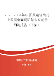 2024-2030年中國風(fēng)電塔筒行業(yè)發(fā)展全面調(diào)研與未來前景預(yù)測報(bào)告（下架）