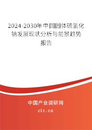 2024-2030年中國固體硫氫化鈉發(fā)展現(xiàn)狀分析與前景趨勢報(bào)告 2024-2030年中國固體硫氫化鈉發(fā)展現(xiàn)狀分析與前景趨勢報(bào)告