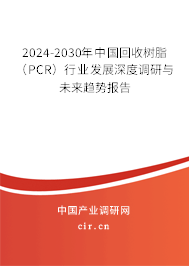 2024-2030年中國(guó)回收樹脂(PCR)行業(yè)發(fā)展深度調(diào)研與未來趨勢(shì)報(bào)告 2024-2030年中國(guó)回收樹脂(PCR)行業(yè)發(fā)展深度調(diào)研與未來趨勢(shì)報(bào)告