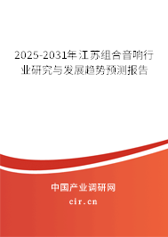 2025-2031年江蘇組合音響行業(yè)研究與發(fā)展趨勢預(yù)測報告