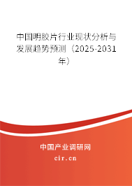 中國明膠片行業(yè)現(xiàn)狀分析與發(fā)展趨勢預(yù)測（2025-2031年）