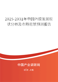 2025-2031年中國(guó)PI膜發(fā)展現(xiàn)狀分析及市場(chǎng)前景預(yù)測(cè)報(bào)告