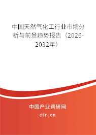 中國天然氣化工行業(yè)市場分析與前景趨勢報告(2026-2032年) 中國天然氣化工行業(yè)市場分析與前景趨勢報告(2026-2032年)