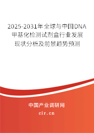 2025-2031年全球與中國DNA甲基化檢測試劑盒行業(yè)發(fā)展現(xiàn)狀分析及前景趨勢預(yù)測 2025-2031年全球與中國DNA甲基化檢測試劑盒行業(yè)發(fā)展現(xiàn)狀分析及前景趨勢預(yù)測