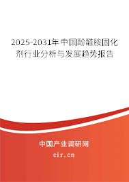 2025-2031年中國(guó)酚醛胺固化劑行業(yè)分析與發(fā)展趨勢(shì)報(bào)告