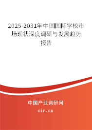 2025-2031年中國國際學(xué)校市場(chǎng)現(xiàn)狀深度調(diào)研與發(fā)展趨勢(shì)報(bào)告