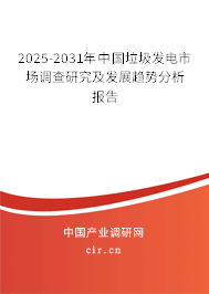 2025-2031年中國(guó)垃圾發(fā)電市場(chǎng)調(diào)查研究及發(fā)展趨勢(shì)分析報(bào)告