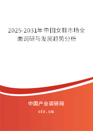 2025-2031年中國女鞋市場全面調研與發(fā)展趨勢分析