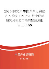 2025-2031年中國(guó)汽車無(wú)鑰匙進(jìn)入系統(tǒng)（PEPS）行業(yè)現(xiàn)狀研究分析及市場(chǎng)前景預(yù)測(cè)報(bào)告(已下架)