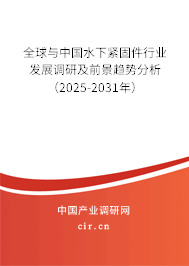 全球與中國水下緊固件行業(yè)發(fā)展調研及前景趨勢分析(2025-2031年) 全球與中國水下緊固件行業(yè)發(fā)展調研及前景趨勢分析(2025-2031年)
