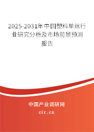 2025-2031年中國塑料單絲行業(yè)研究分析及市場(chǎng)前景預(yù)測(cè)報(bào)告