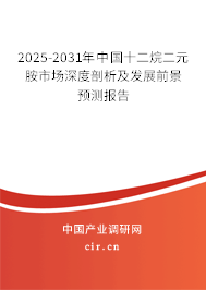 2025-2031年中國十二烷二元胺市場深度剖析及發(fā)展前景預(yù)測報告 2025-2031年中國十二烷二元胺市場深度剖析及發(fā)展前景預(yù)測報告