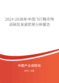 2023-2029年中國飛行鞋市場調研及發(fā)展前景分析報告