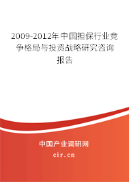 2009-2012年中國擔(dān)保行業(yè)競爭格局與投資戰(zhàn)略研究咨詢報(bào)告