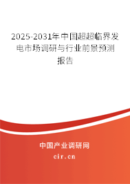 2025-2031年中國(guó)超超臨界發(fā)電市場(chǎng)調(diào)研與行業(yè)前景預(yù)測(cè)報(bào)告