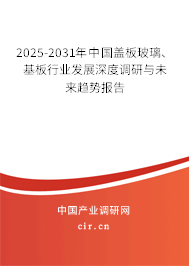 2025-2031年中國蓋板玻璃、基板行業(yè)發(fā)展深度調(diào)研與未來趨勢報告