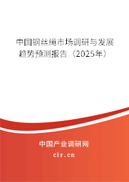 中國鋼絲繩市場調(diào)研與發(fā)展趨勢預(yù)測報告(2025年) 中國鋼絲繩市場調(diào)研與發(fā)展趨勢預(yù)測報告(2025年)