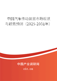中國汽車傳動裝置市場現(xiàn)狀與趨勢預測（2025-2031年）