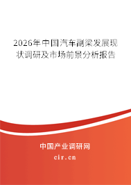 2026年中國汽車副梁發(fā)展現(xiàn)狀調(diào)研及市場前景分析報告