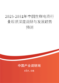 2025-2031年中國(guó)生鮮電商行業(yè)現(xiàn)狀深度調(diào)研與發(fā)展趨勢(shì)預(yù)測(cè)