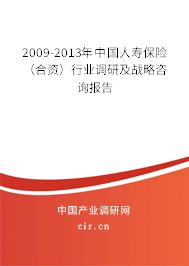 2009-2013年中國人壽保險（合資）行業(yè)調(diào)研及戰(zhàn)略咨詢報告