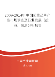 2009-2014年中國起重葫蘆產(chǎn)品市場調(diào)查及行業(yè)發(fā)展(投資)預(yù)測分析報(bào)告 2009-2014年中國起重葫蘆產(chǎn)品市場調(diào)查及行業(yè)發(fā)展(投資)預(yù)測分析報(bào)告