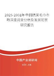 2025-2031年中國抗菌毛巾市場深度調(diào)查分析及發(fā)展前景研究報(bào)告 2025-2031年中國抗菌毛巾市場深度調(diào)查分析及發(fā)展前景研究報(bào)告