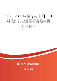 2025-2031年全球與中國LED鞋盒燈行業(yè)發(fā)展研究及前景分析報告