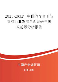 2025-2031年中國汽車音響與導航行業(yè)發(fā)展全面調(diào)研與未來前景分析報告