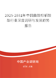 2025-2031年中國曲酸棕櫚酸酯行業(yè)深度調研與發(fā)展趨勢報告