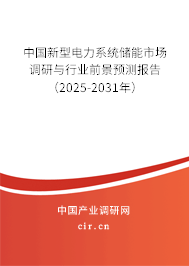 中國新型電力系統(tǒng)儲能市場調(diào)研與行業(yè)前景預(yù)測報告（2025-2031年）