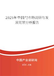 2025年中國(guó)勺市場(chǎng)調(diào)研與發(fā)展前景分析報(bào)告 2025年中國(guó)勺市場(chǎng)調(diào)研與發(fā)展前景分析報(bào)告