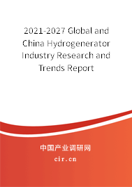 2021-2027 Global and China Hydrogenerator Industry Research and Trends Report 2021-2027 Global and China Hydrogenerator Industry Research and Trends Report