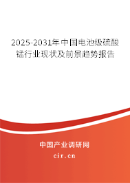 2025-2031年中國電池級(jí)硫酸錳行業(yè)現(xiàn)狀及前景趨勢(shì)報(bào)告 2025-2031年中國電池級(jí)硫酸錳行業(yè)現(xiàn)狀及前景趨勢(shì)報(bào)告