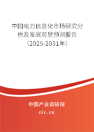 中國電力信息化市場研究分析及發(fā)展前景預(yù)測報告（2025-2031年）