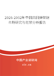 2026-2032年中國高回彈聚醚市場研究與前景分析報(bào)告 2026-2032年中國高回彈聚醚市場研究與前景分析報(bào)告