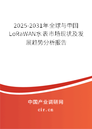 2025-2031年全球與中國LoRaWAN水表市場現(xiàn)狀及發(fā)展趨勢分析報告