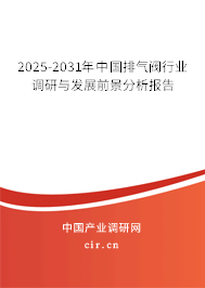 2025-2031年中國(guó)排氣閥行業(yè)調(diào)研與發(fā)展前景分析報(bào)告